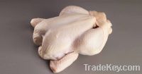 Frozen broiler whole chicken meat