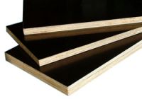 Sell  Film Faced Plywood