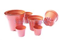 Sell  flower plants nursery planters, flower pots