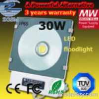 30W Energy Saving LED Floodlight (IP65)