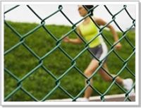 Sell PVC Coated Chain Link Fence