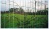 Sell Holland Wire Fence