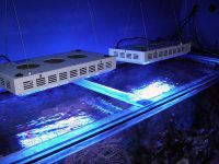 Sell led aquarium light