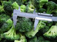 Sell IQF Broccoli