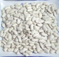 Sell white bean, flat shape
