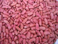 Sell light red kidney beans