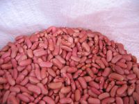 Sell light red kidney bean