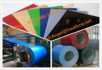 Sell 2016 new pre-painted galvanized steel sheet in coils