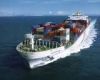 Sea shipping to Auckland/ Tauranga/Lyttelton /Napier