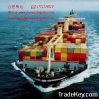 Sea cargo shipping