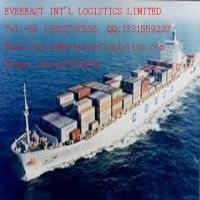 container shipping from Shenzhen, China to Alexandria(DI Dekheila)