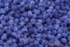 Sell  blueberry anthocyanin(sales23 at lgberry dot com dot cn)