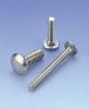 Sell Stainless steel carriage screws