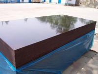 sell film faced plywood/shuttering board/concrete formwork