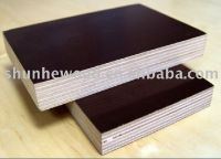 Sell film faced plywood, marine plywood, ( birch, poplar, hardwood, com