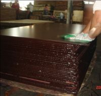 sell film faced plywood, construction plywood, shuttering plywood