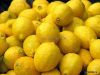 Sell citrus bioflavonoides 6%-50%