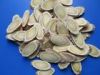 Sell Astragalus Extract 70% Polysacchrides