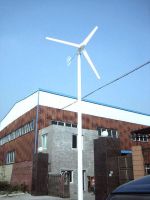 Sell 500w Wind generator turbine