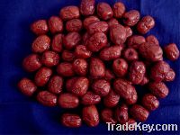 Sell jujube