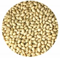 blanched peanut kernels