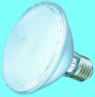 PAR30 LED light(LJ-LED-27)