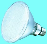 PAR30 LED spot light(LJ-LED-29)