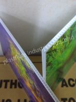 Correx Sheet / Box