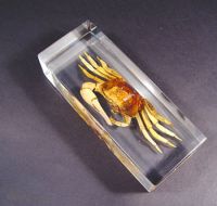 Sell man-made amber jewelry - paperweight