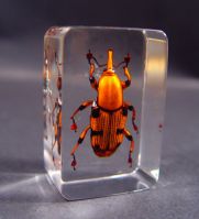 Sell man-made amber jewelry - promotion gift