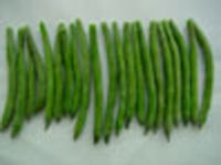 Sell IQF Green Bean