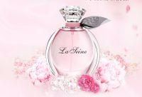 Factory direct wholesale women men perfume