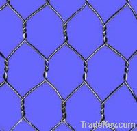hexagonal wire mesh for sell