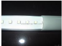 LED fluorescent light