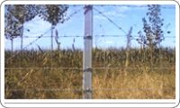 Sell barbed wire and razor wire