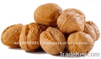 Walnuts