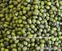 Australian organic mung beans