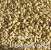 Australian organic pearl barley