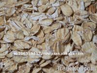 Australian organic imported stabilised rolled oats