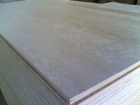 Sell Pine Plywood