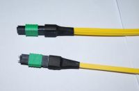Sell mpo patch cord