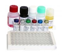 FSH, Prolactin, LH, HCG, H G H/Hormone Tests/ELISA Devices