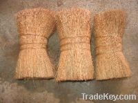 Coconut Fiber (Bristol Fiber)