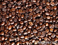 COFFEE BEANS FOR SALE