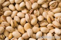 Fresh Pistachios Nuts