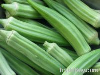 2012 New Crop Frozen Okra Cuts and IQF Whole Okra and IQF Okra