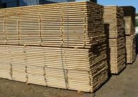 Sell saw timber Birch, basswood, spruce, ash, poplar, pine, oak,