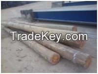 Wood Logs On sale