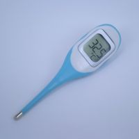 Sell clinical thermometer TM12