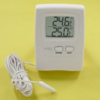 Sell in/out  thermometer